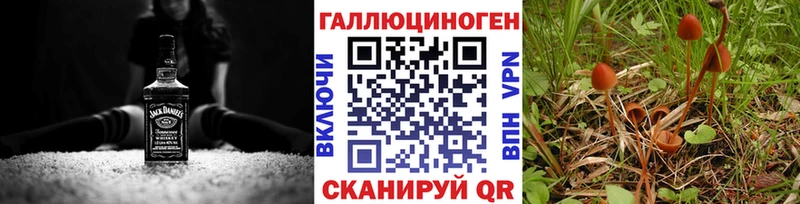 Галлюциногенные грибы Psilocybine cubensis  купить наркоту  Руза 