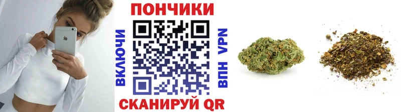 Шишки марихуана семена  Руза 